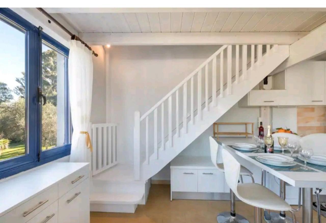 Danilia Govino Bay Luxury Beach Loft Apartment מראה חיצוני תמונה